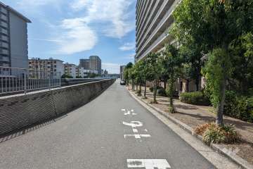 敷地東側の前面道路