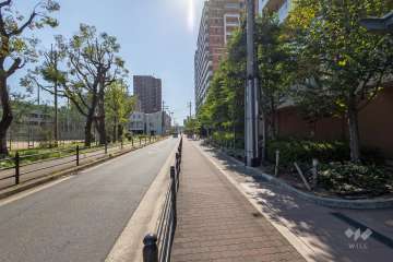 敷地東側の前面道路