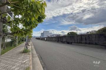 敷地南側の前面道路（西側から）