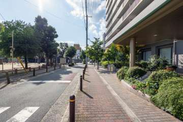 敷地の東側前面道路（北側から）