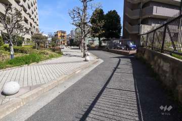 敷地西側の前面道路（北側から）