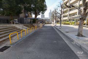 敷地西側の前面道路（南側から）