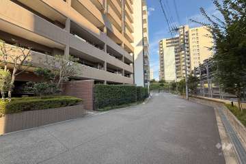 敷地南側の前面道路（西側から）