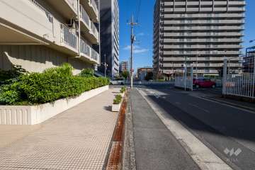 敷地の東側前面道路（南側から）