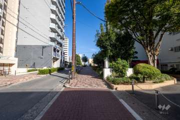 敷地の北側前面道路（西側から）