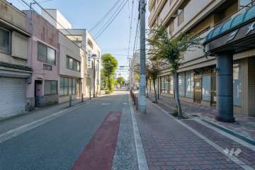 敷地の東側前面道路（北側から）