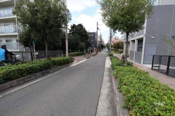 敷地南側の前面道路