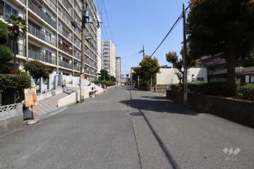 敷地南側の前面道路（西側から）