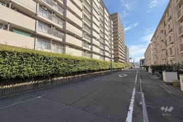 敷地南側の前面道路　