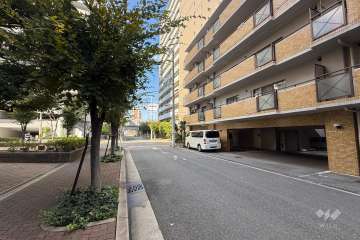 敷地北側の前面道路（東側から）