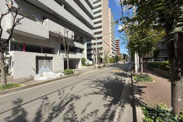 敷地西側の前面道路（南側から）