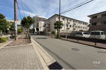 敷地南側の前面道路（西側から）