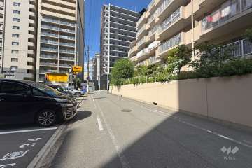 敷地南側の前面道路　