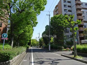 敷地東側の前面道路