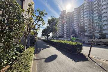 敷地西側の前面道路