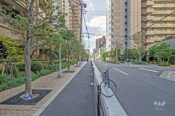 敷地の西側前面道路（北側から）