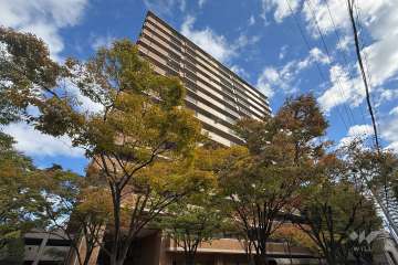 四季彩館けやき館の外観（南東側から）