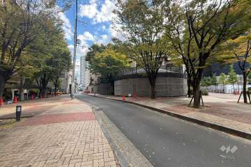 敷地北側の前面道路（東側から）