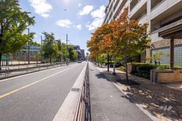 敷地東側の前面道路（北側から）