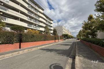 敷地南側の前面道路(西側から）