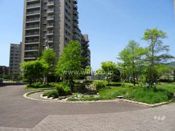 敷地内の各所に植栽スペースが設けられています。