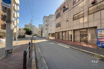 敷地南側の前面道路（西側から）