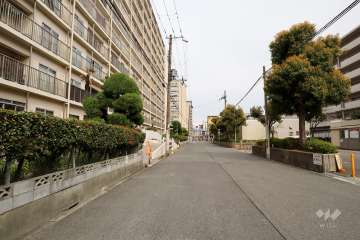 敷地南側の前面道路（西側から）