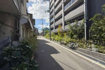 敷地東側の前面道路　