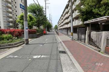 敷地南側の前面道路（東側から）