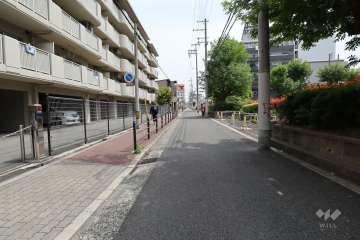 敷地南側の前面道路（西側から）
