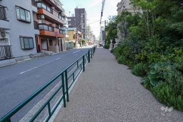 敷地東側の前面道路（北側から）