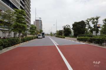 敷地南西側の前面道路（南東側から）