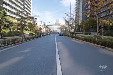 北西側の前面道路(南西側から)