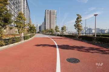 敷地南東側の前面道路
