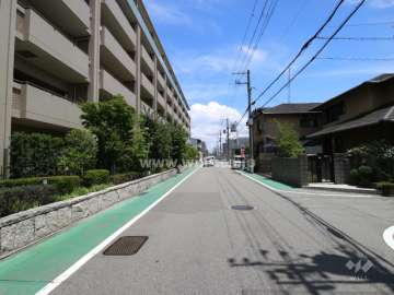 物件の南側前面道路（西側から）