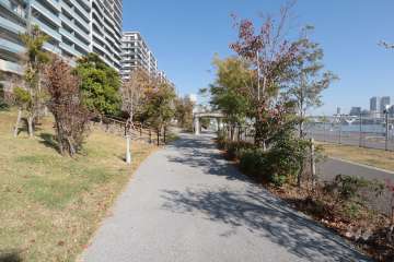 近隣の晴海緑道公園