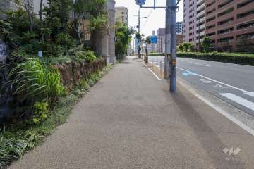 敷地西側の前面道路（北側から）