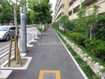 敷地の前面道路は、二車線のバス通り。道を挟んで向かい側には『西武庫公園』が広がっています。