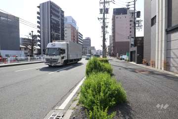 敷地南側の前面道路（東側から）