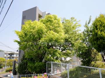 陽和台第3住宅11号棟の外観（西側から）