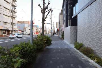 敷地北側の前面道路（西側から）