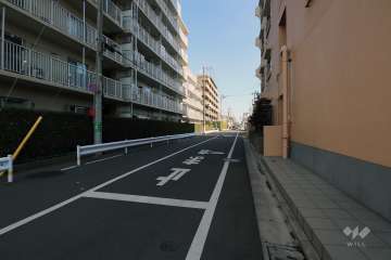 敷地北側の前面道路(西側から)