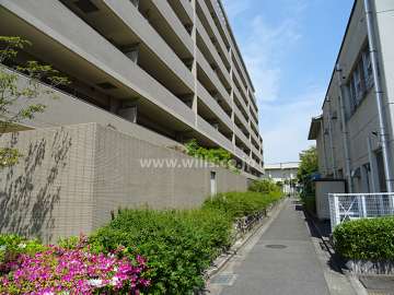 敷地南側の前面道路