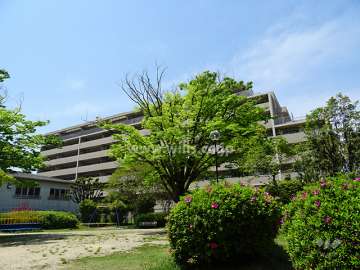 桃山台ヒルズの遠景。南側には「しいのき公園」があります。