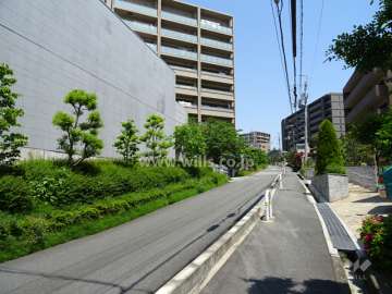 敷地南東側の前面道路。北行き一方通行の道路沿いには、分譲マンションがいくつか建っています。