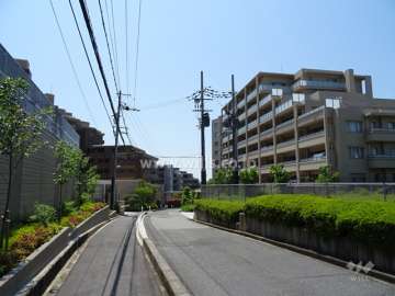 敷地南東側の前面道路（北東側から）