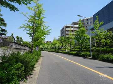 敷地北西側の前面道路（南西側から）