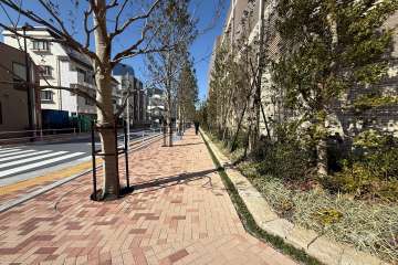 敷地の西側前面道路（南側から）