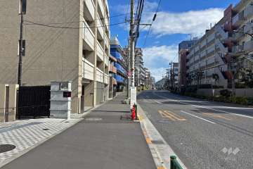 敷地南側の前面道路（西側から）