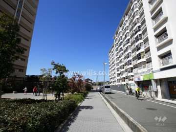 敷地南側の前面道路